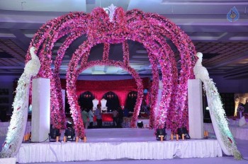 Trupthi and Ankit Wedding Reception - 49 of 57
