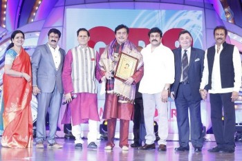TSR - TV9 National Film Awards Photos 3 - 225 of 441