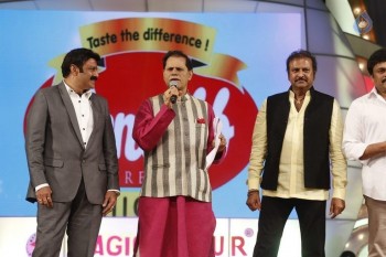 TSR - TV9 National Film Awards Photos 3 - 227 of 441