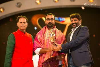 TSR TV9 National Film Awards 2015 and 2016 Photos - 20 of 88