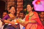 TV Nandi Awards 2011 - 250 of 326