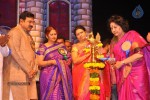 TV Nandi Awards 2011 - 135 of 326