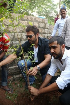 Venkatesh at Haritha Haram Program - 5 of 42