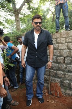 Venkatesh at Haritha Haram Program - 6 of 42