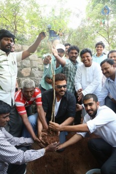 Venkatesh at Haritha Haram Program - 10 of 42