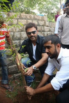 Venkatesh at Haritha Haram Program - 16 of 42