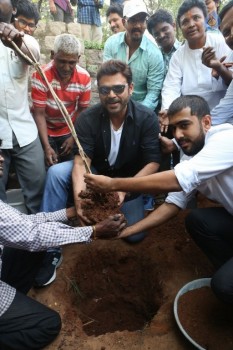 Venkatesh at Haritha Haram Program - 21 of 42