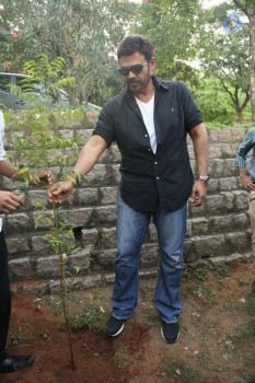 Venkatesh at Haritha Haram Program - 34 of 42