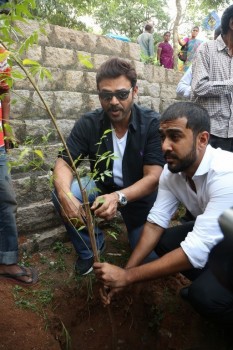 Venkatesh at Haritha Haram Program - 37 of 42