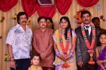 VP Mani Daughter Gayathiri Wedding Photos - 27 of 32