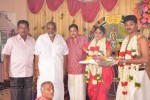 VP Mani Daughter Gayathiri Wedding Photos - 31 of 32