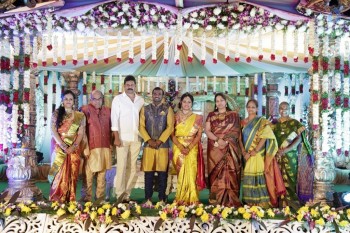 Writer Thota Prasad Daughter Wedding Reception Photos - 15 of 38