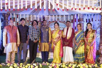 Writer Thota Prasad Daughter Wedding Reception Photos - 16 of 38