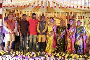 Writer Thota Prasad Daughter Wedding Reception Photos - 24 of 38