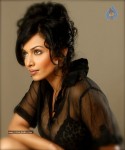 Flora Saini Spicy Stills