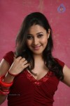 Panchi Bora Hot Photos