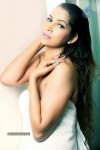 Tanisha Singh Hot Photo Shoot