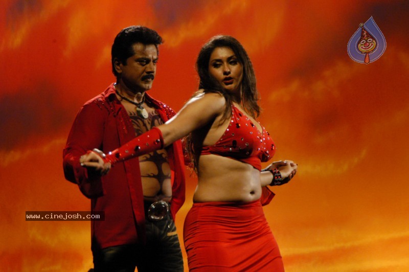 1977 Movie Spicy Stills - 83 / 135 photos