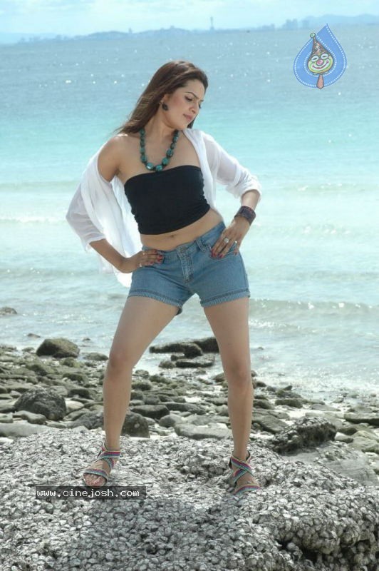 Aditi Agarwal Spicy Stills - 3 / 66 photos