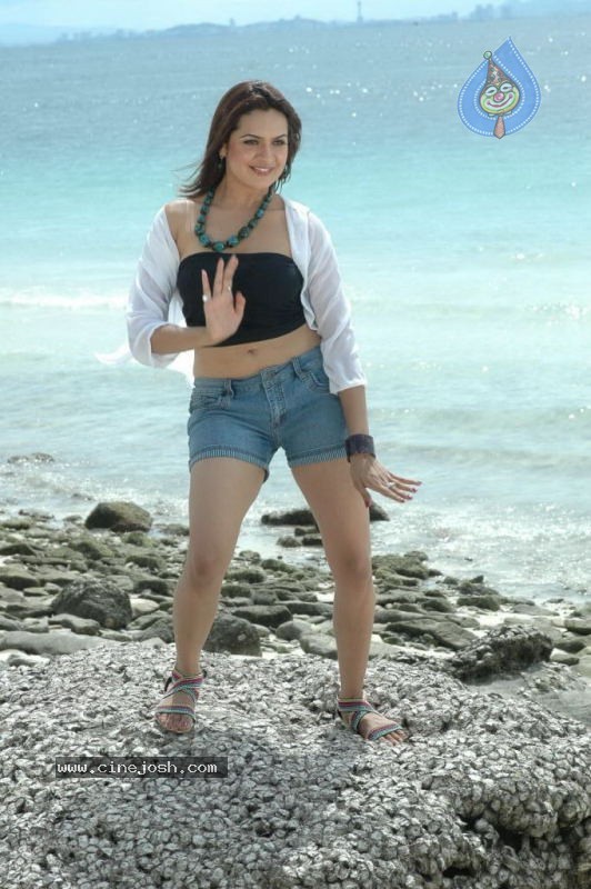 Aditi Agarwal Spicy Stills - 11 / 66 photos