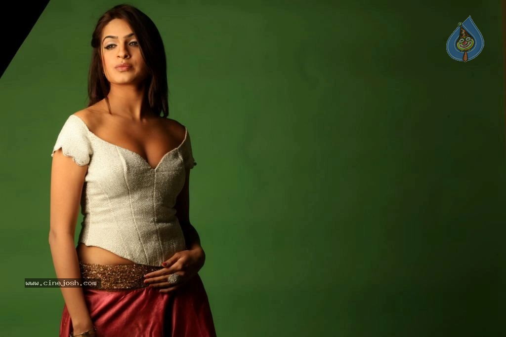 Aditi Agarwal Spicy Stills - 6 / 68 photos