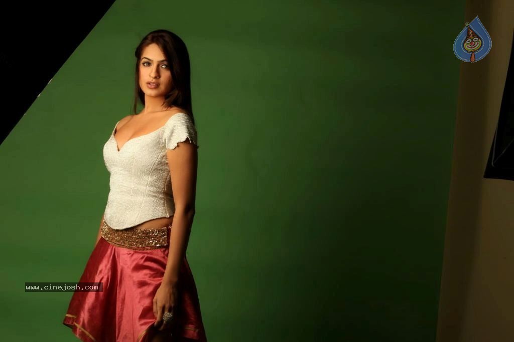 Aditi Agarwal Spicy Stills - 10 / 68 photos