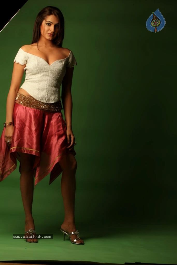 Aditi Agarwal Spicy Stills - 17 / 68 photos