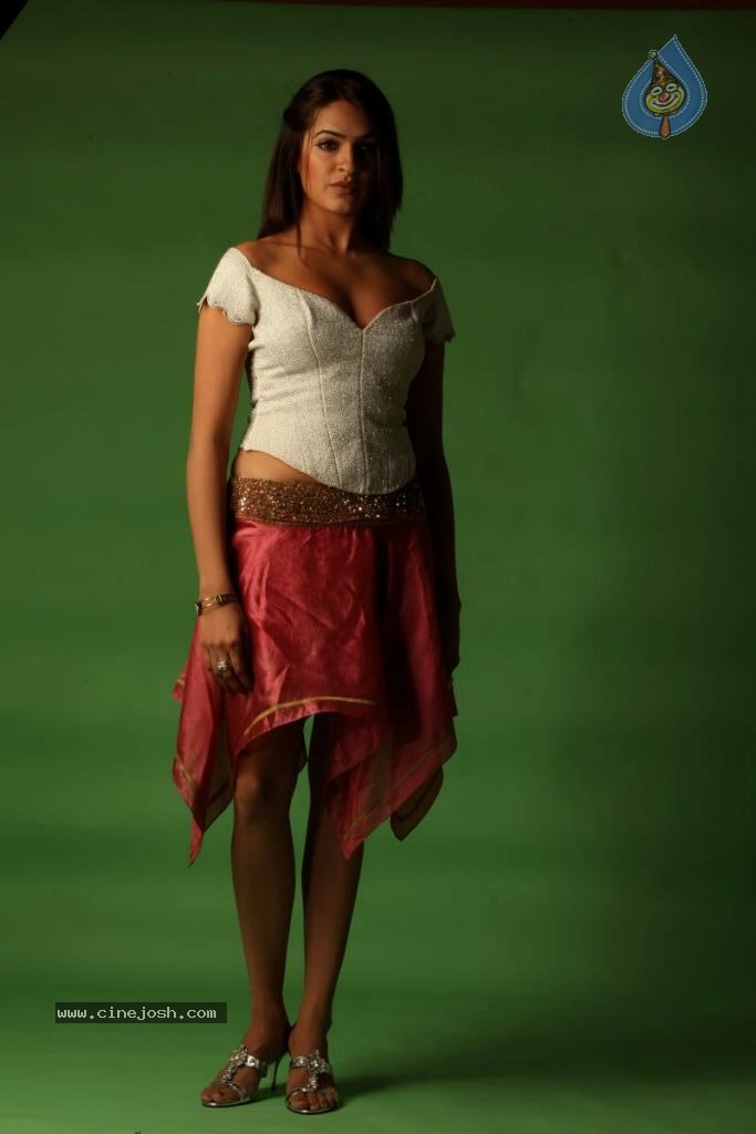 Aditi Agarwal Spicy Stills - 42 / 68 photos