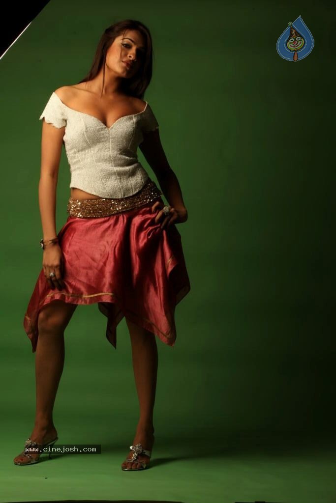 Aditi Agarwal Spicy Stills - 43 / 68 photos