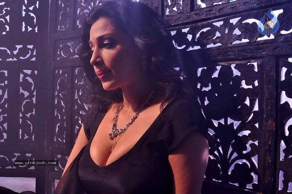 Akashamlo Sagam Movie Spicy Stills - 13 / 40 photos