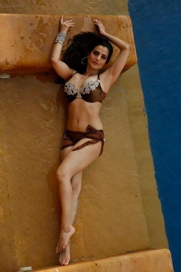 Amisha Patel Hot Pics - Photo 8 of 17