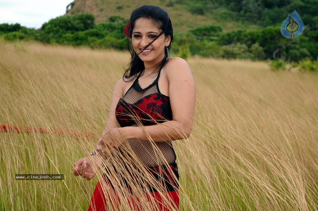 Anushka Hot Gallery - 17 / 74 photos