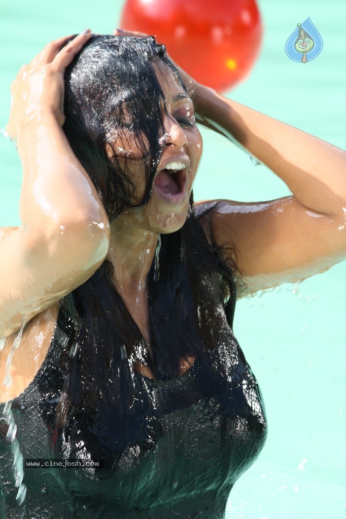 Bhuvaneswari New Spicy Stills - 12 / 49 photos