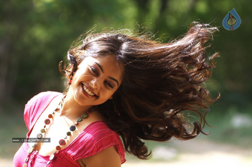 Bindu Madhavi Hot Photos - 35 / 102 photos