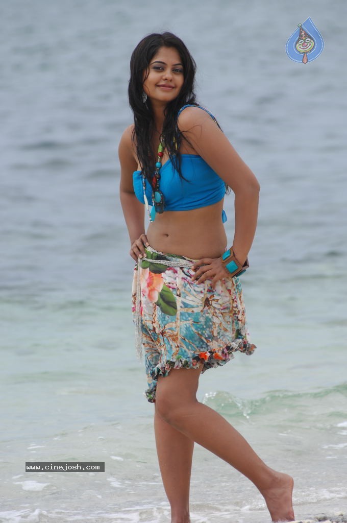 Bindu Madhavi Hot Photos - 38 / 102 photos