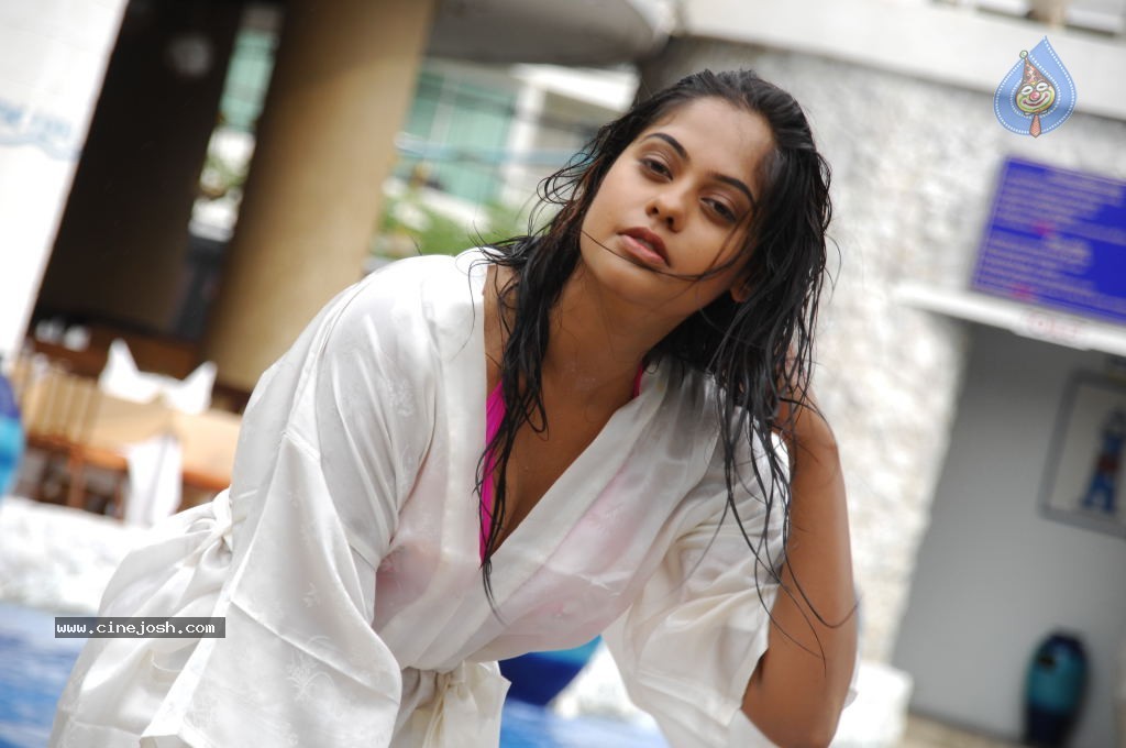 Bindu Madhavi Hot Photos - 44 / 102 photos