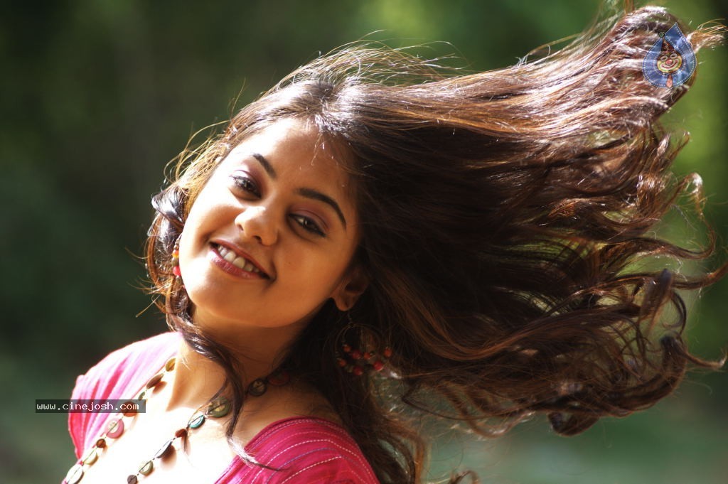 Bindu Madhavi Hot Photos - 62 / 102 photos