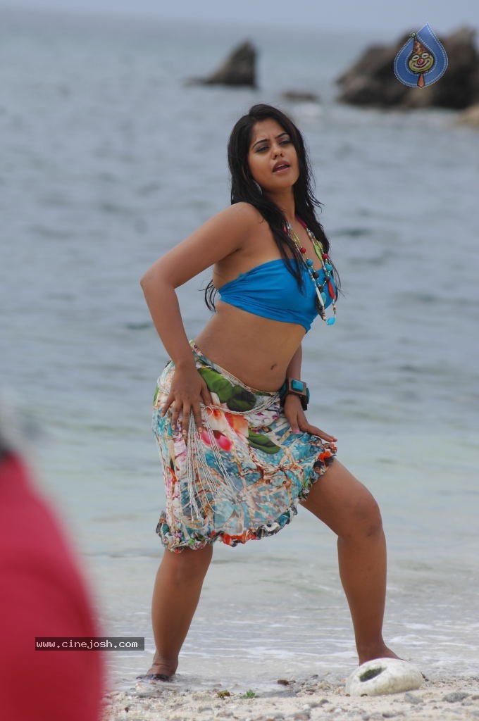 Bindu Madhavi Hot Photos - 64 / 102 photos