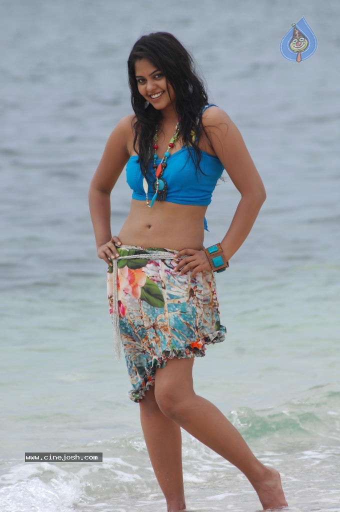 Bindu Madhavi Hot Photos - 94 / 102 photos