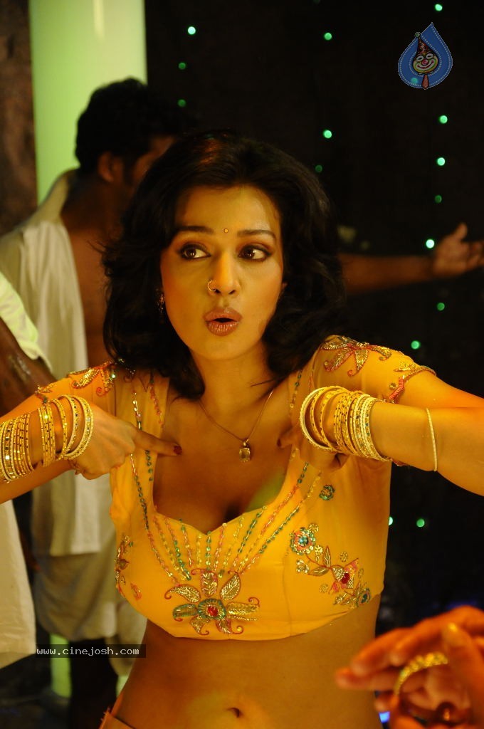Flora Saini Spicy Stills - 46 / 69 photos