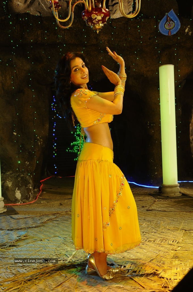 Flora Saini Spicy Stills - 50 / 69 photos
