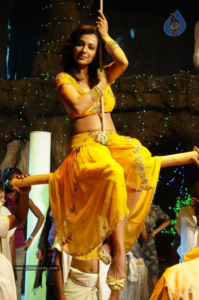 Flora Saini Spicy Stills - 52 / 69 photos