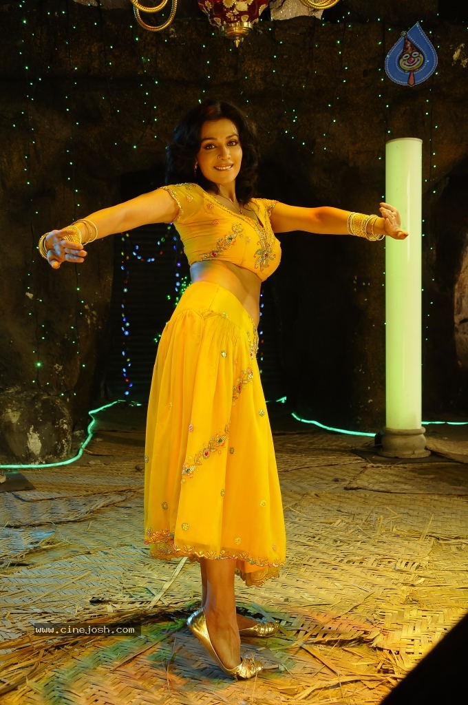 Flora Saini Spicy Stills - 53 / 69 photos