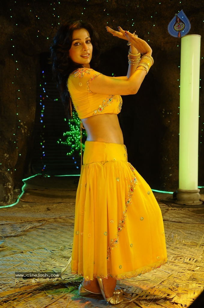 Flora Saini Spicy Stills - 54 / 69 photos
