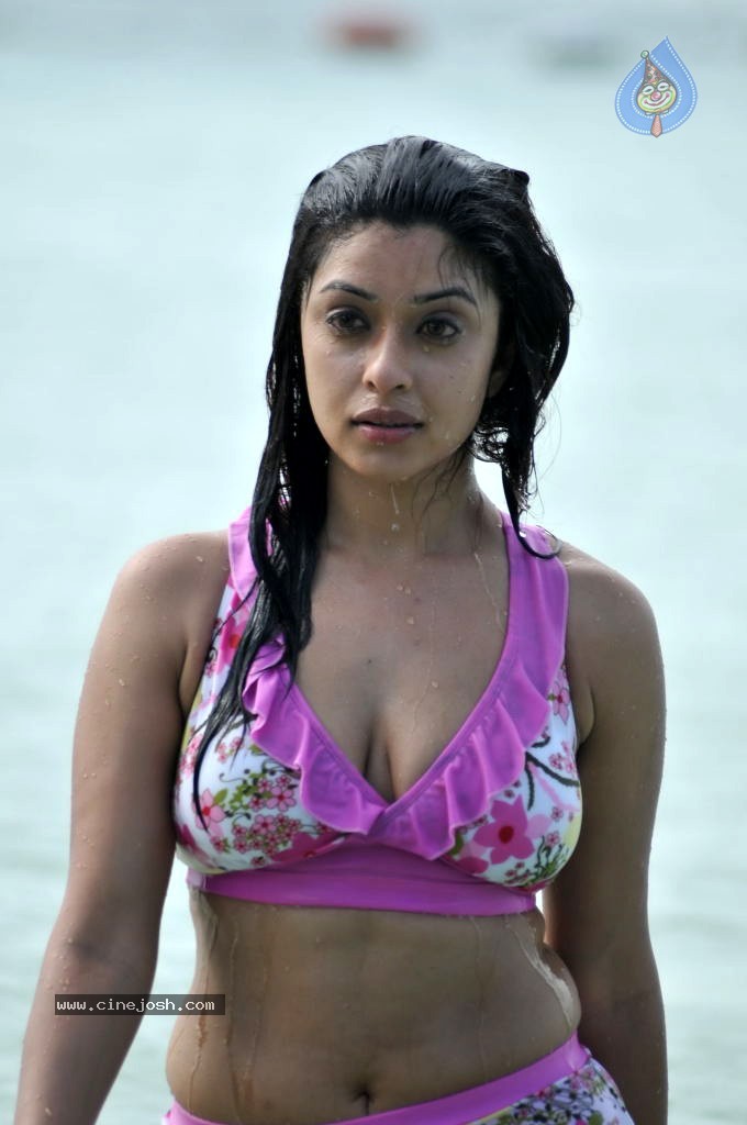 Harika (Payal Ghosh) Spicy Photos - 21 / 25 photos