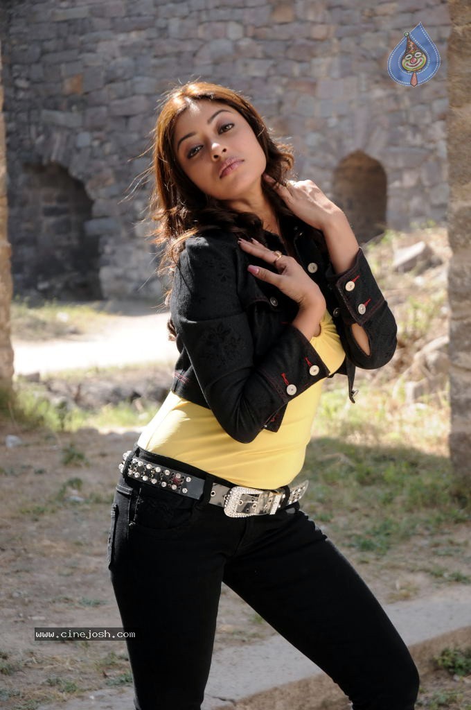 Harika (Payal Ghosh) Spicy Photos - 24 / 25 photos