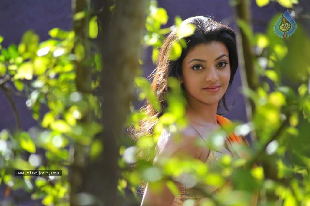 Kajal Agarwal Hot Stills - 29 / 36 photos