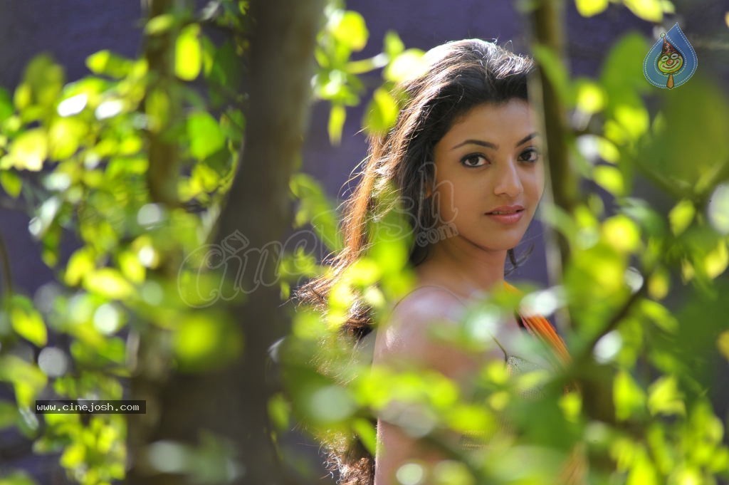 Kajal Agarwal Spicy Stills - 73 / 74 photos