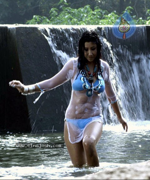 Kattu Puli Tamil Movie Spicy Stills - 16 / 49 photos