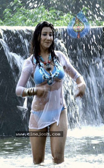 Kattu Puli Tamil Movie Spicy Stills - 21 / 49 photos